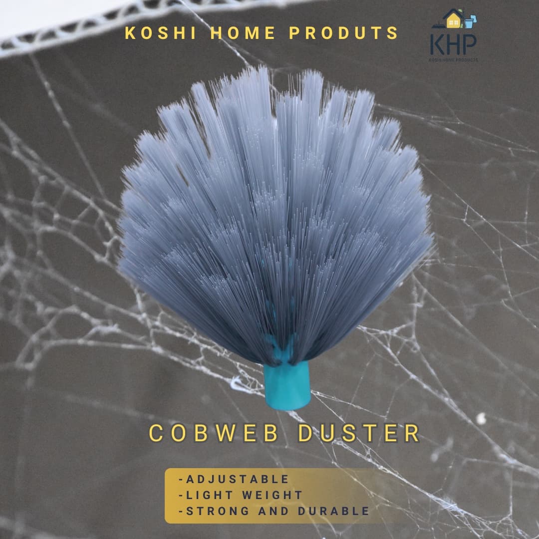Cobweb Duster